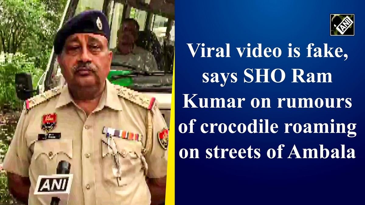 Viral video is fake, says SHO Ram Kumar on rumours of crocodile roaming on streets of Ambala
