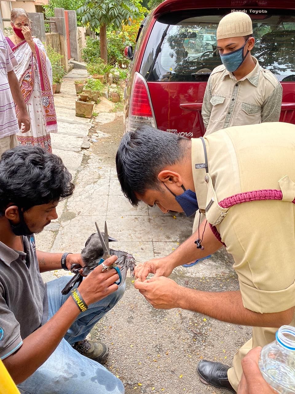 A PFA volunteer and a policeman rescuea crow during an operation in Tilaknagar.
