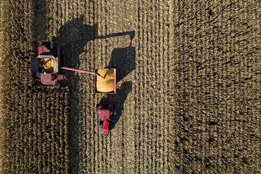 Corn is harvested with a combine in Princeton, Illinois. Photographer: Daniel Acker/Bloomberg