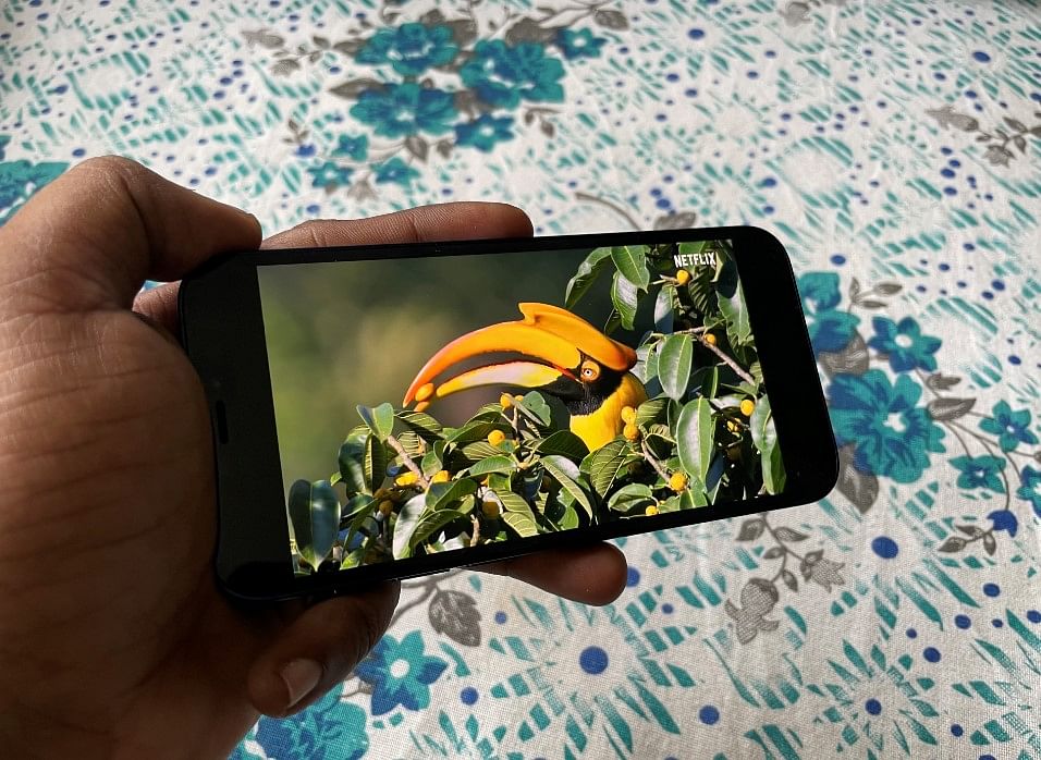 Netflix's Our Planet series played on Apple iPhone 12 mini. Credit: DH Photo/KVN Rohit