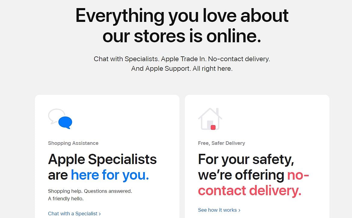 Apple Store online. Credit: Apple Website