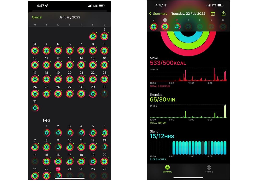 Activity Rings app on Apple Watch Series 7. Credit: DH Photo/KVN Rohit