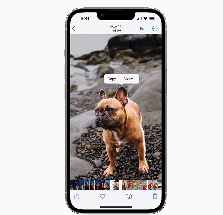 Visual Look Up introduces a new feature that allows users to tap and hold on the subject of an image to lift it from the background and place it in apps like Messages. Credit: Apple