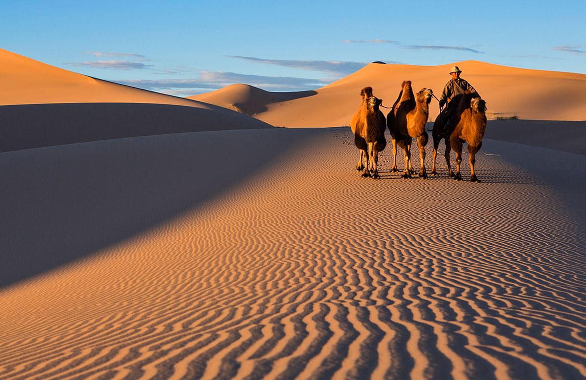 Gobi desert, Mongolia