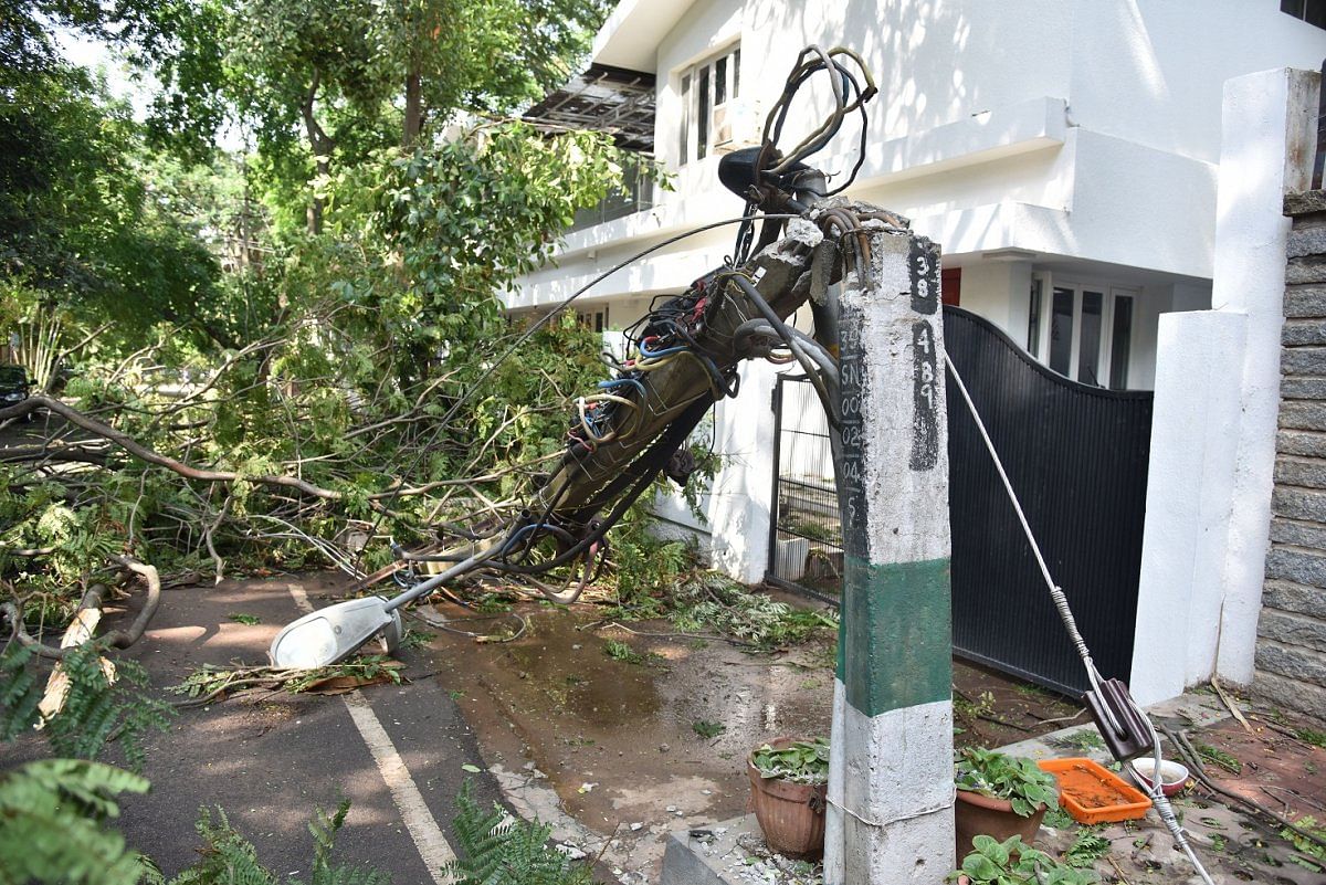 An electric pole in Sadashivanagar broke after a treebranch fell on it.