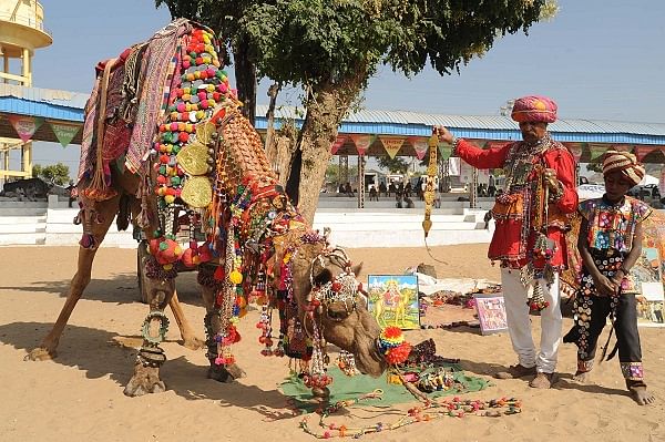 Ashok Tak decorating a camel