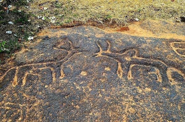 Figures of two animals carved out of the rocks at Usgalimal by sharp stones near Kushavati river is easily 30,000 years ago.