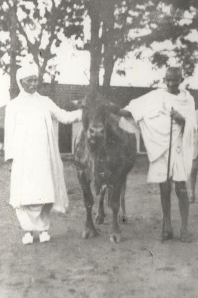 Gandhiji and Madan Mohan Malaviyaji with a Jill cow at SRSof NDRI during July 1927.