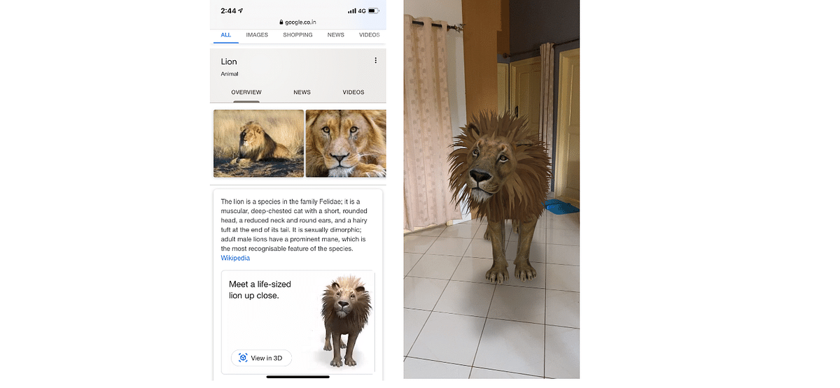 How to Use Google's View in 3D Feature to See Animals