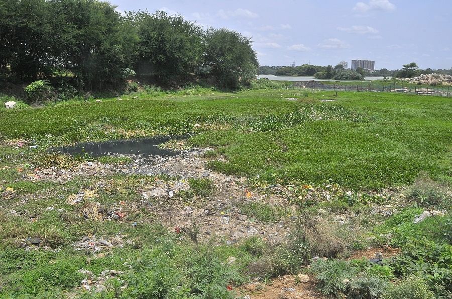 Hebbal lake, for the longest time, has been used to release industrial waste, sewage and garbage, and is choked by hyacinth.