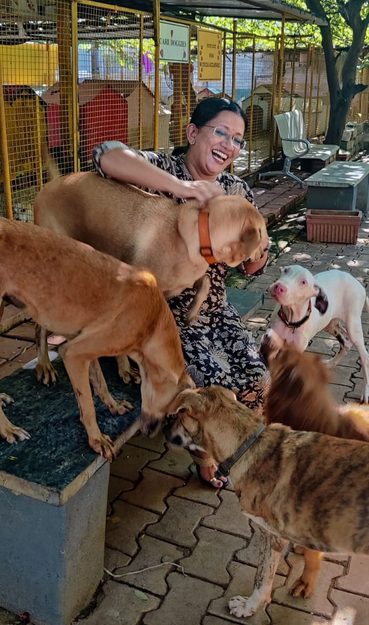 Sudha Narayanan, founder ofCharlie’s Animal Rescue Centre,Yelahanka, says people havelow tolerance levels now,which has also led to givingup adopted puppies.