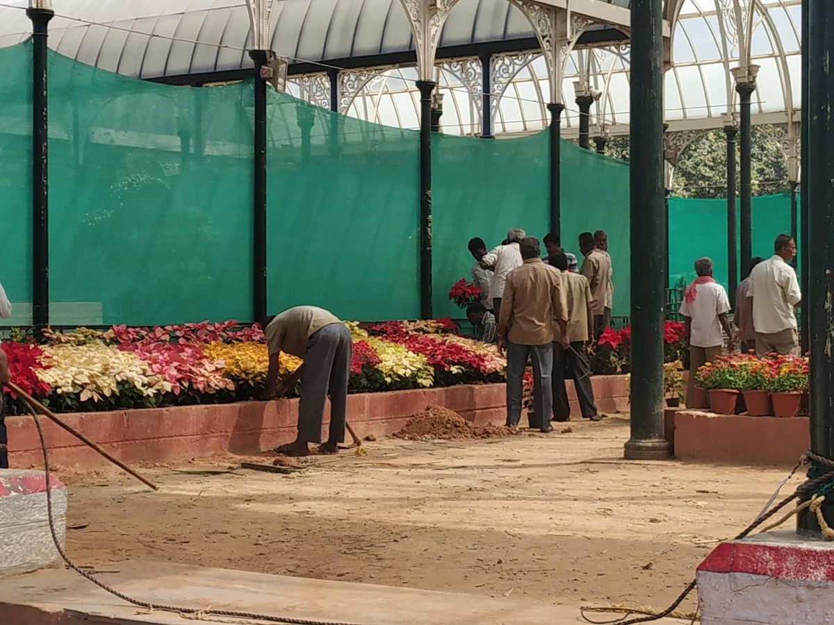 Workers have been busy arranging flowers in and around the GlassHouse for the last few weeks.