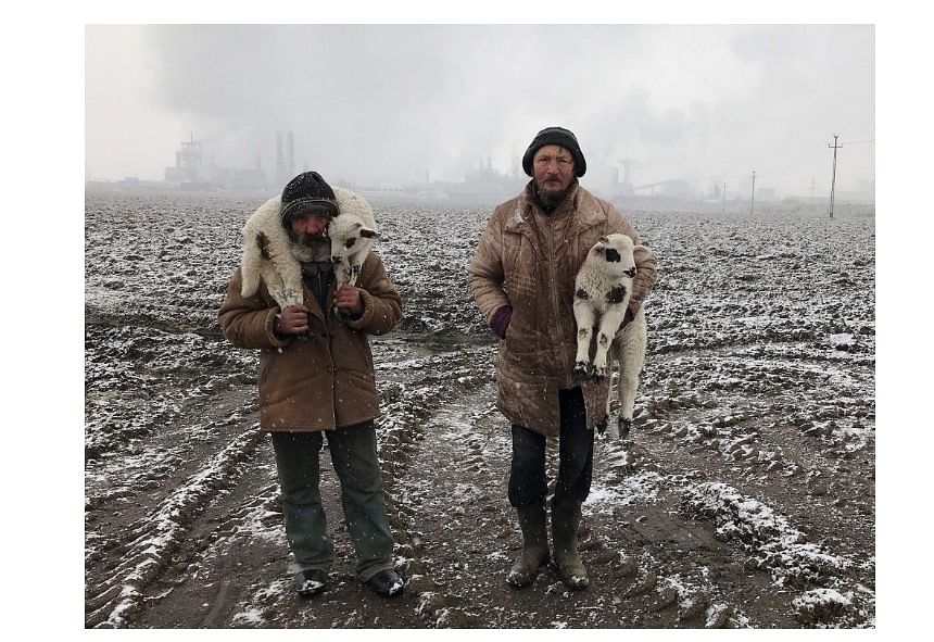 Istvan Kerekes's grand prize-winning photo titled-- Transylvanian Shepherds.  Credit: IPPAWARDS