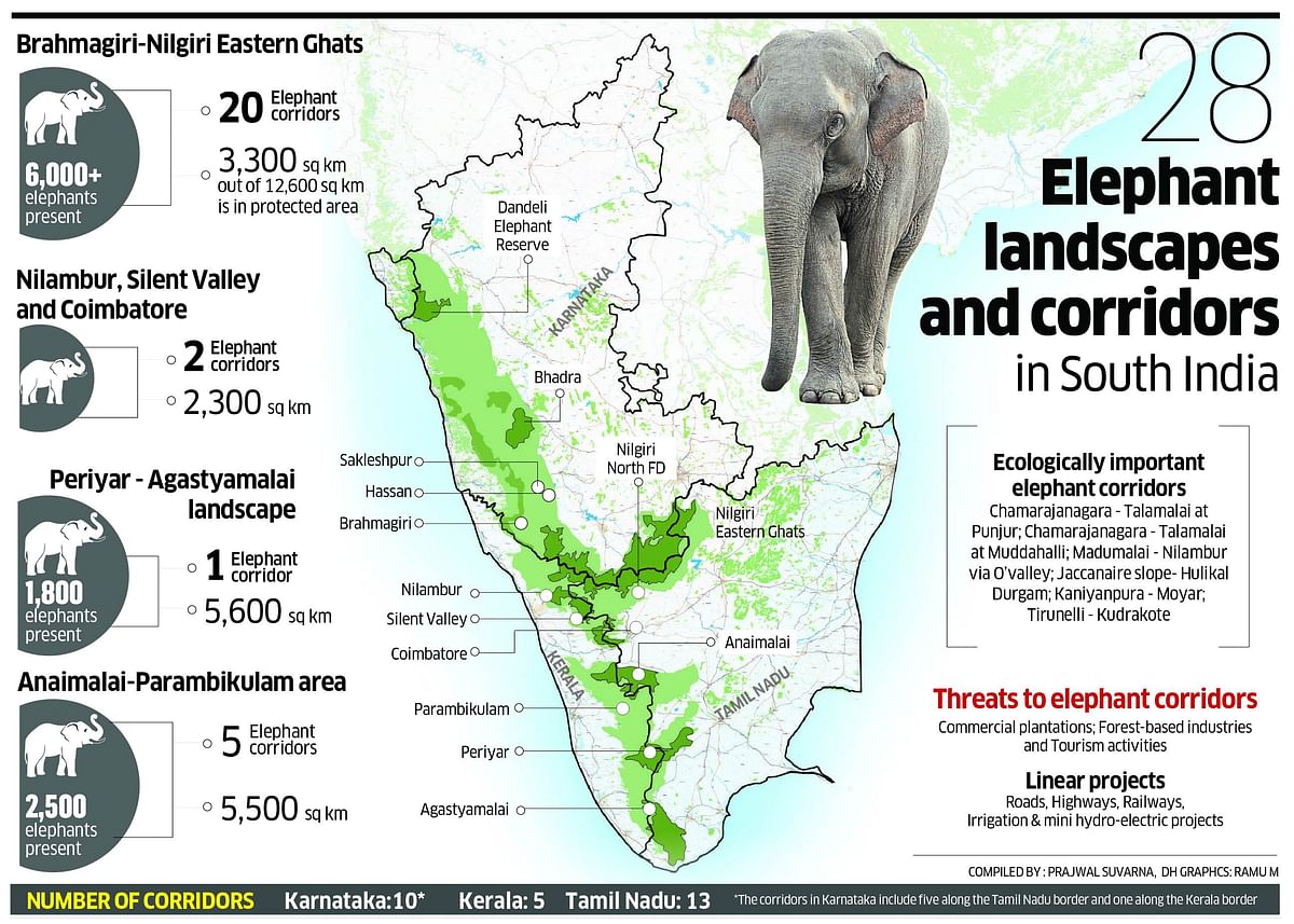 No end to conflict as humans and elephants tussle for space