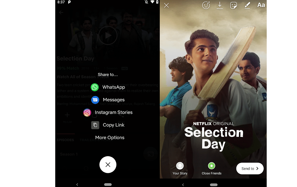 Instagram Story share feature on Netflix; picture credit: Netflix India