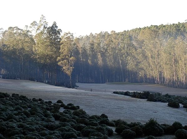 Ooty Golf Course. PHOTOS BY AUTHOR