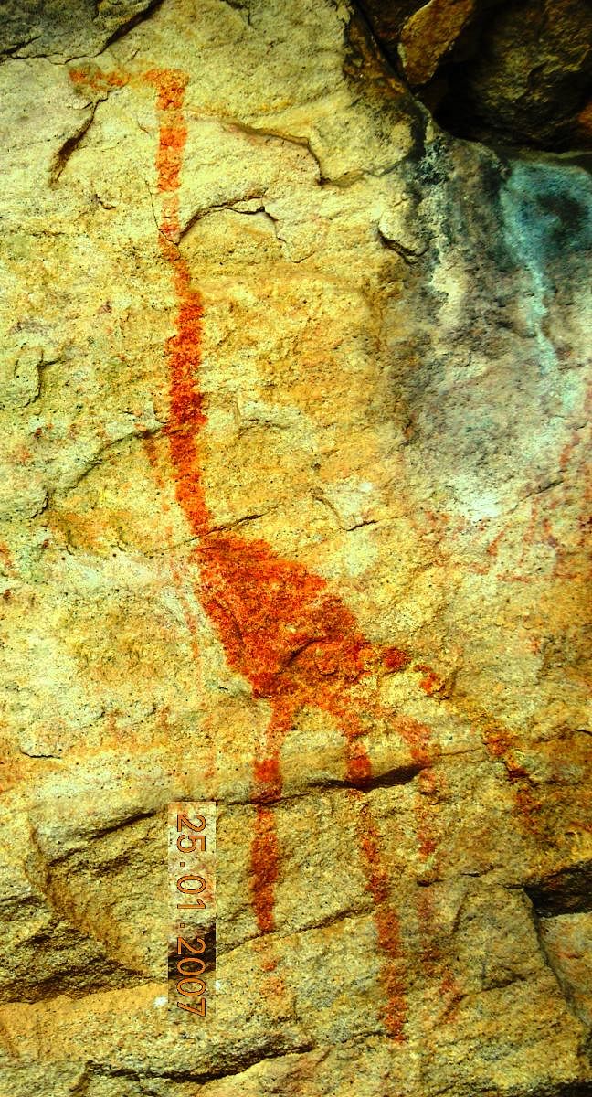 Cave painting of a Ostrich or a similar large bird.