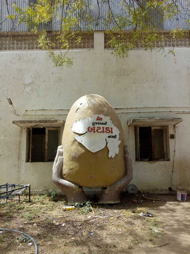 This sculpture of a potato, installed at the entrance of Deesa town to greet visitors to 'Gujarat ni Bataka Nagari' (potato city of Gujarat) has been removed for the construction of a flyover and placed in cold storage. (DH Photo/Satish Jha)