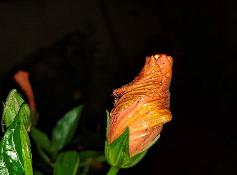 Realme GT Neo 2 camera sample with just the LED flash on. Credit: DH Photo/KVN Rohit