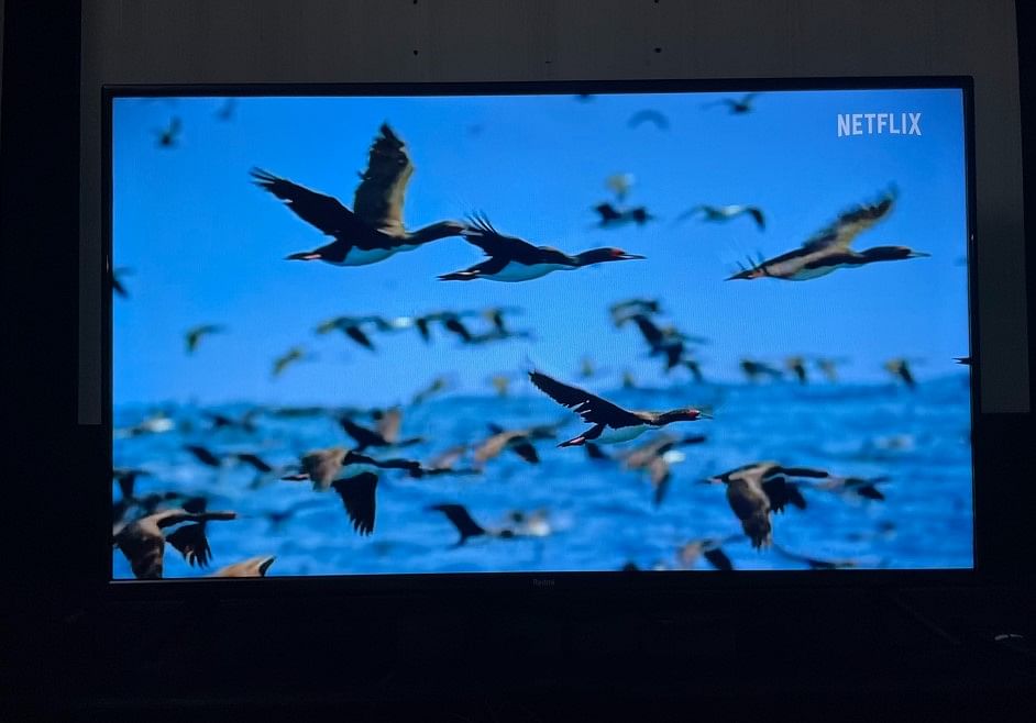 43-inch Redmi Smart TV. Credit: DH Photo/KVN Rohit