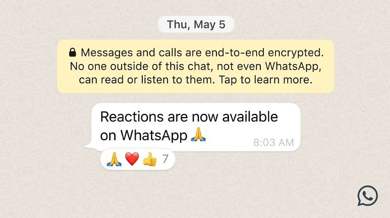 Reactions Emoji on WhatsApp. Credit: WhatsApp