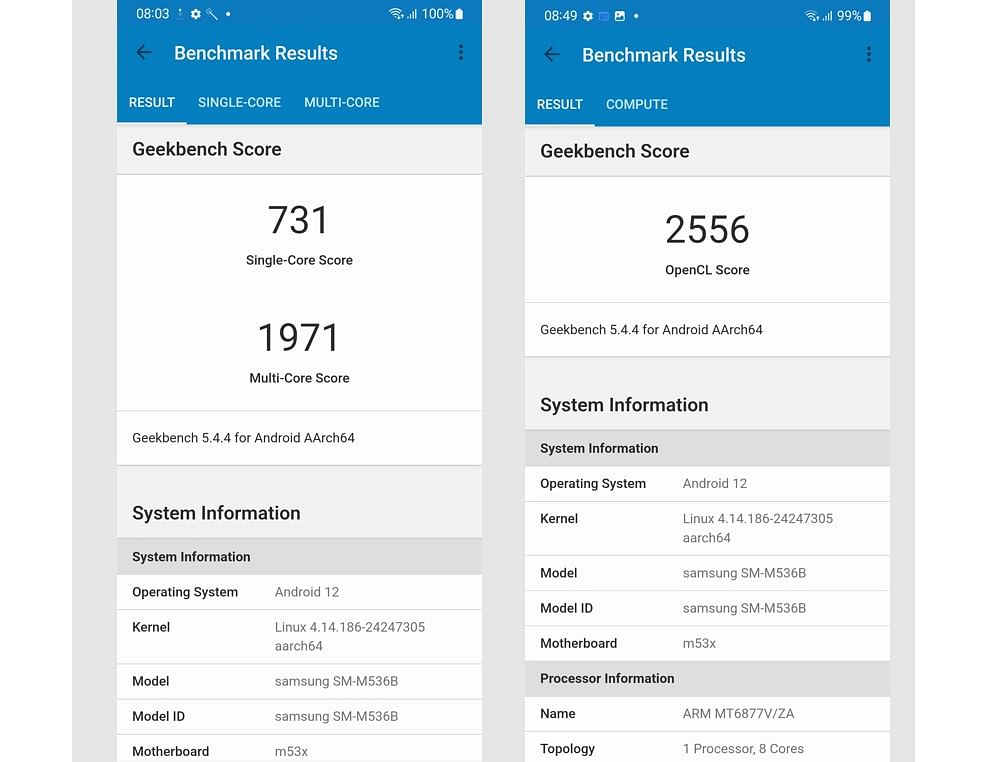 Performance score of Samsung Galaxy M53 5G on Geekbench 5.0 app. Credit: DH Photo/KVN Rohit
