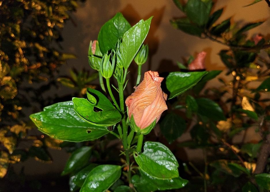 Samsung Galaxy Z Fold2 camera sample in the night with just the LED flash support. Credit: DH Photo/KVN Rohit