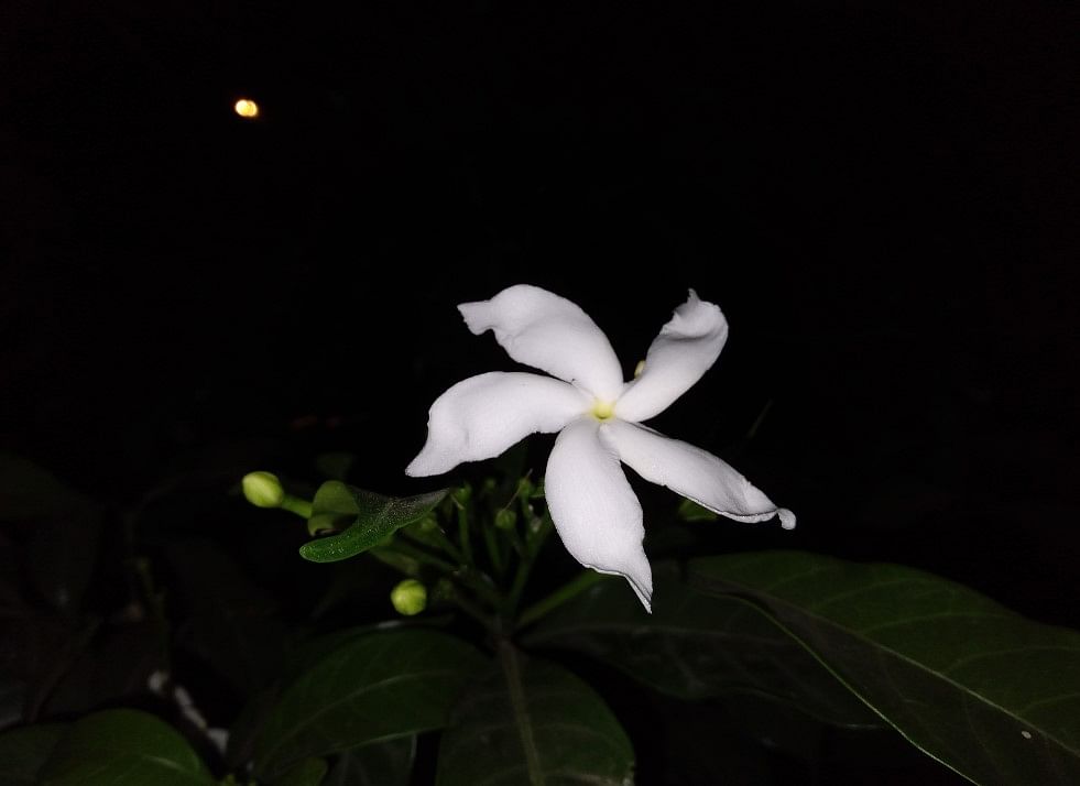 Samsung Galaxy M02s camera sample captured in the night with LED flash on. Credit: DH Photo/KVN Rohit