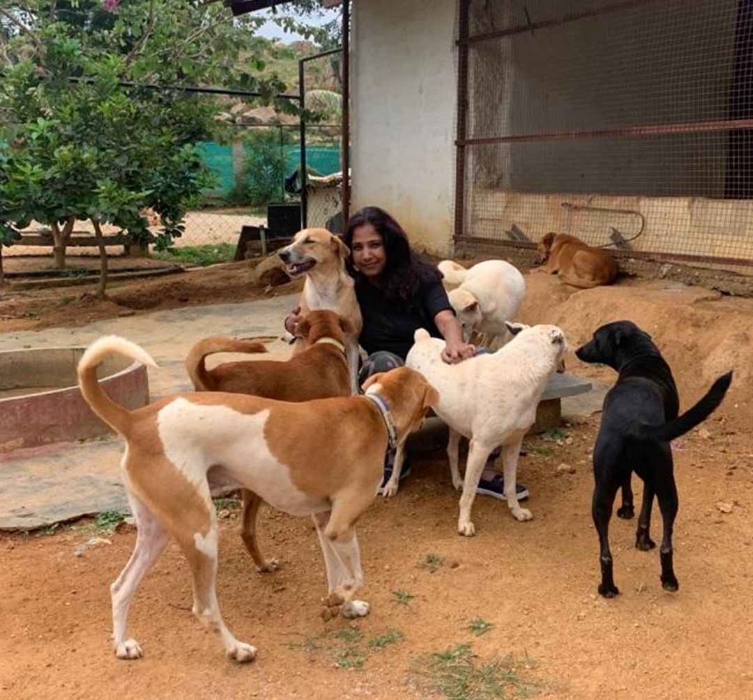 Founded by Sai Geetha Pratap,Community Streeties India inDevanahalli, had 25 dogs beforethe pandemic and has 60 now.