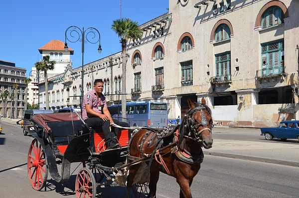 Horse-drawn carriages are a common sight on the streets.