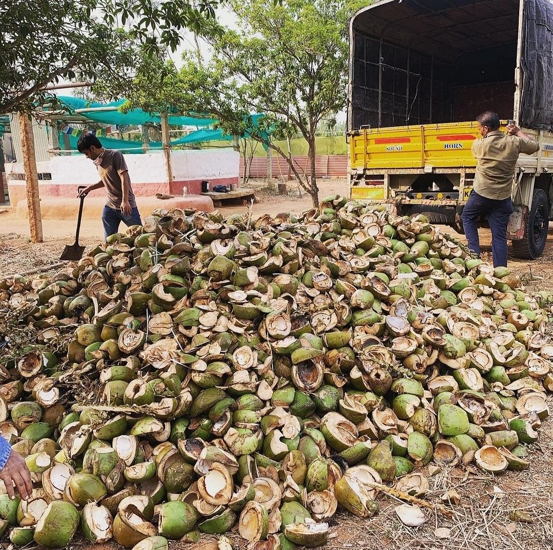 They send coconut shells to afarm for the purpose of mulching