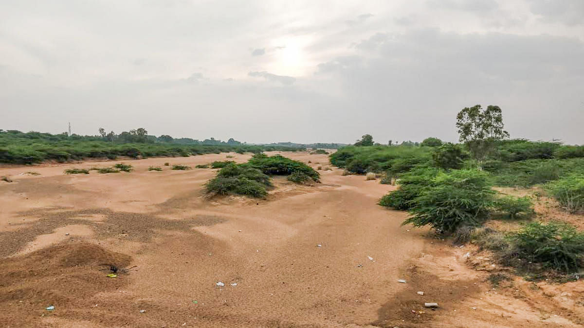 The dried up Vedavathi river nearParashuramapura village in Challakere.Photo by Y S Ashwini