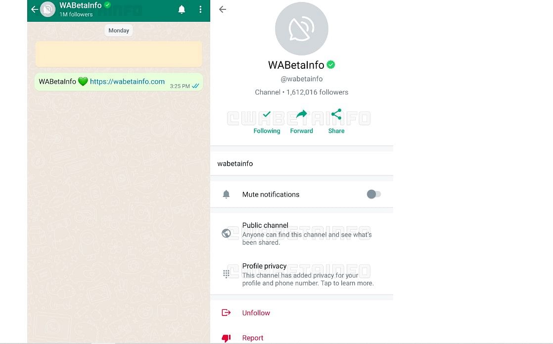 WhatsApp Channels feature on the Android beta app. Credit: WABetaInfo