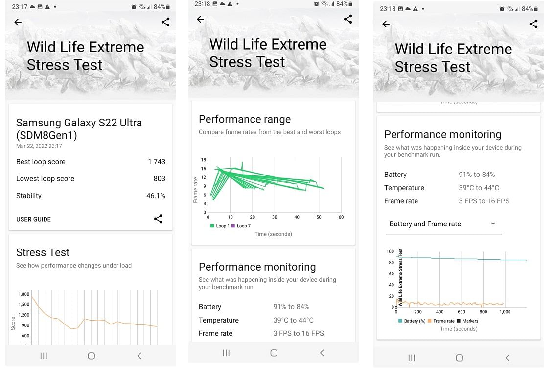 Extreme Wild Life Extreme Stress Test on 3D Mark performance testing app. Credit: DH Photo/KVN Rohit