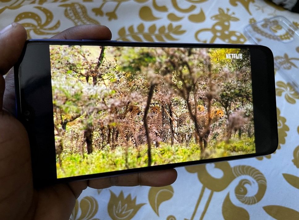 Netflix's Our Planet series on the Redmi 9 Power. Credit: DH Photo/KVN Rohit