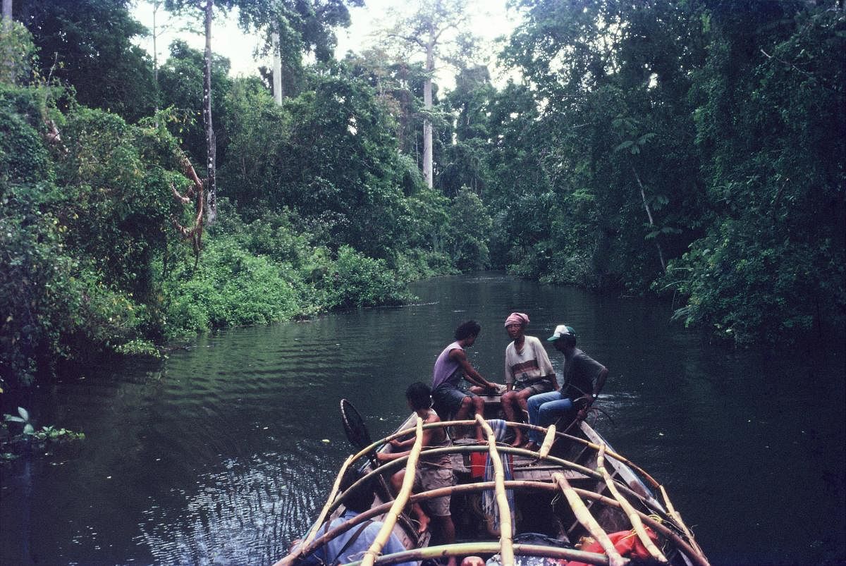 Lush evergreen forests of Little Andaman, with our survey team sailing within thefreshwater part of the creek. Photo by Manish Chandi
