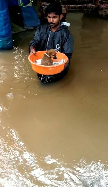 A dog puppy is rescued from floods in Kerala. Image via Reuters