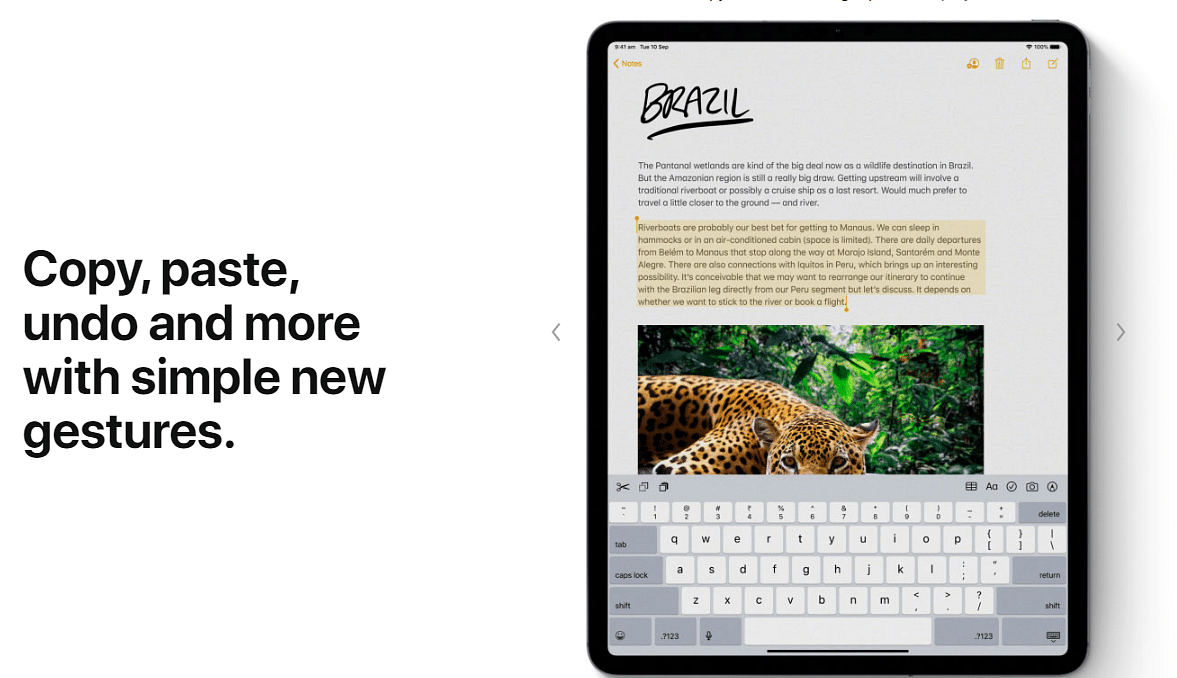 The iPadOS brings new gesture features (Picture Credit: Apple)