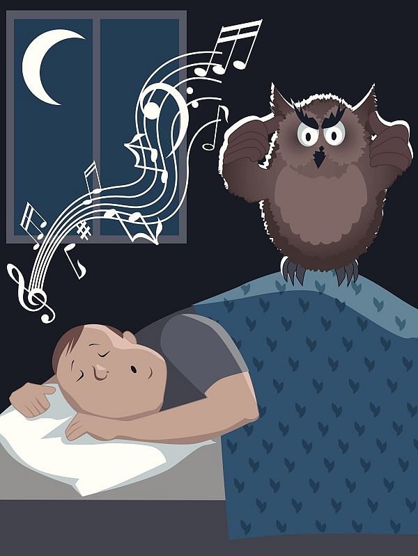 Are you a sleeping beauty or a snoring beast?
