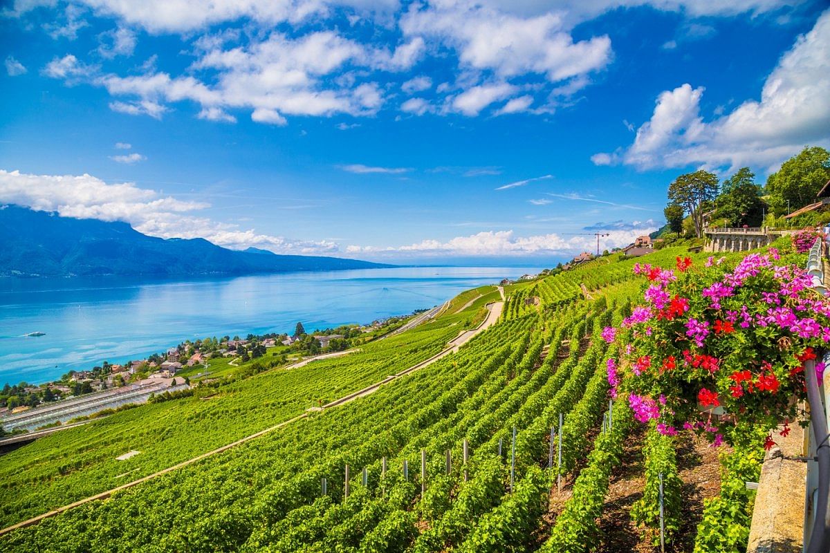 Lavaux wine region, Lake Geneva, Switzerland