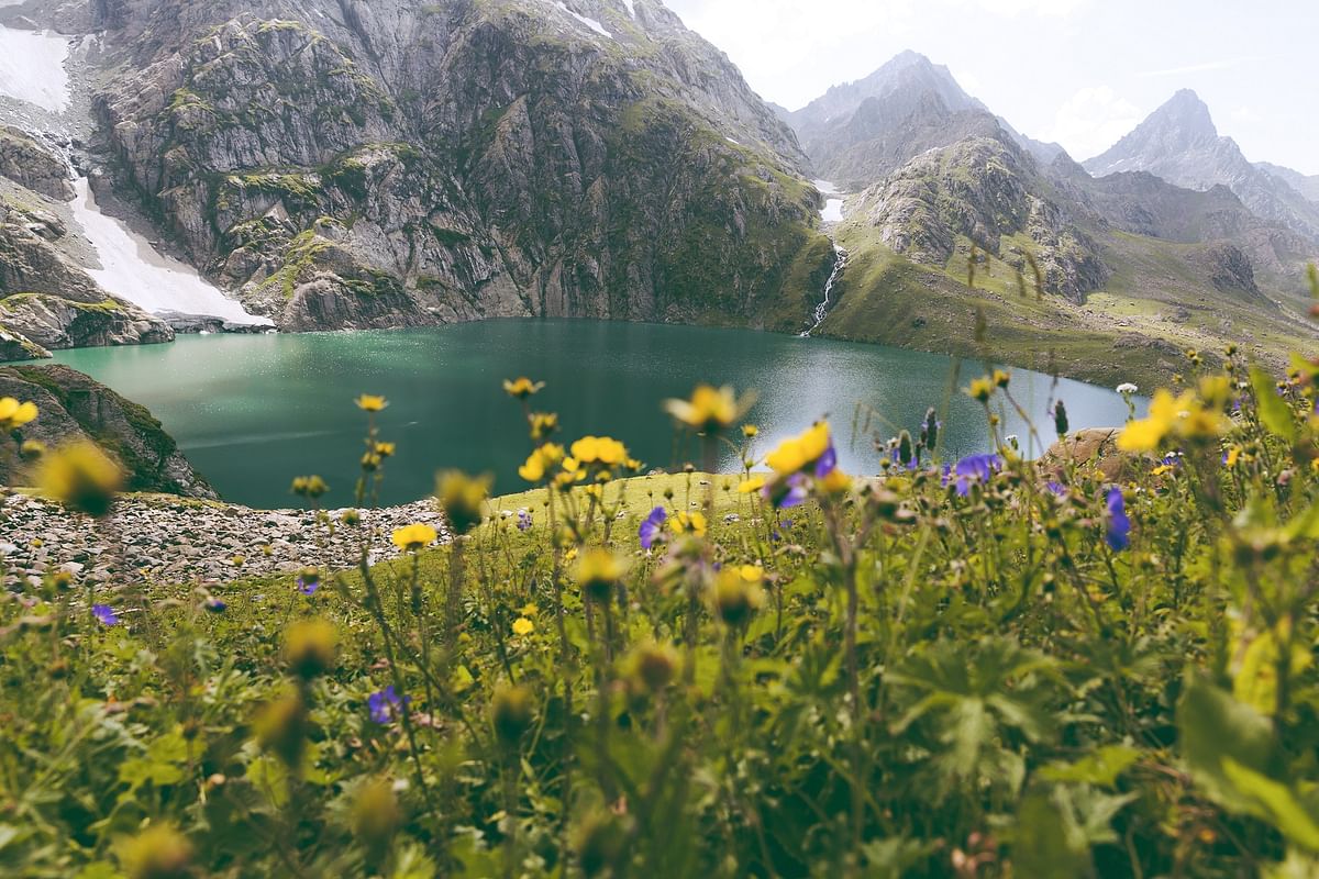 Valley of flowers in Jammu