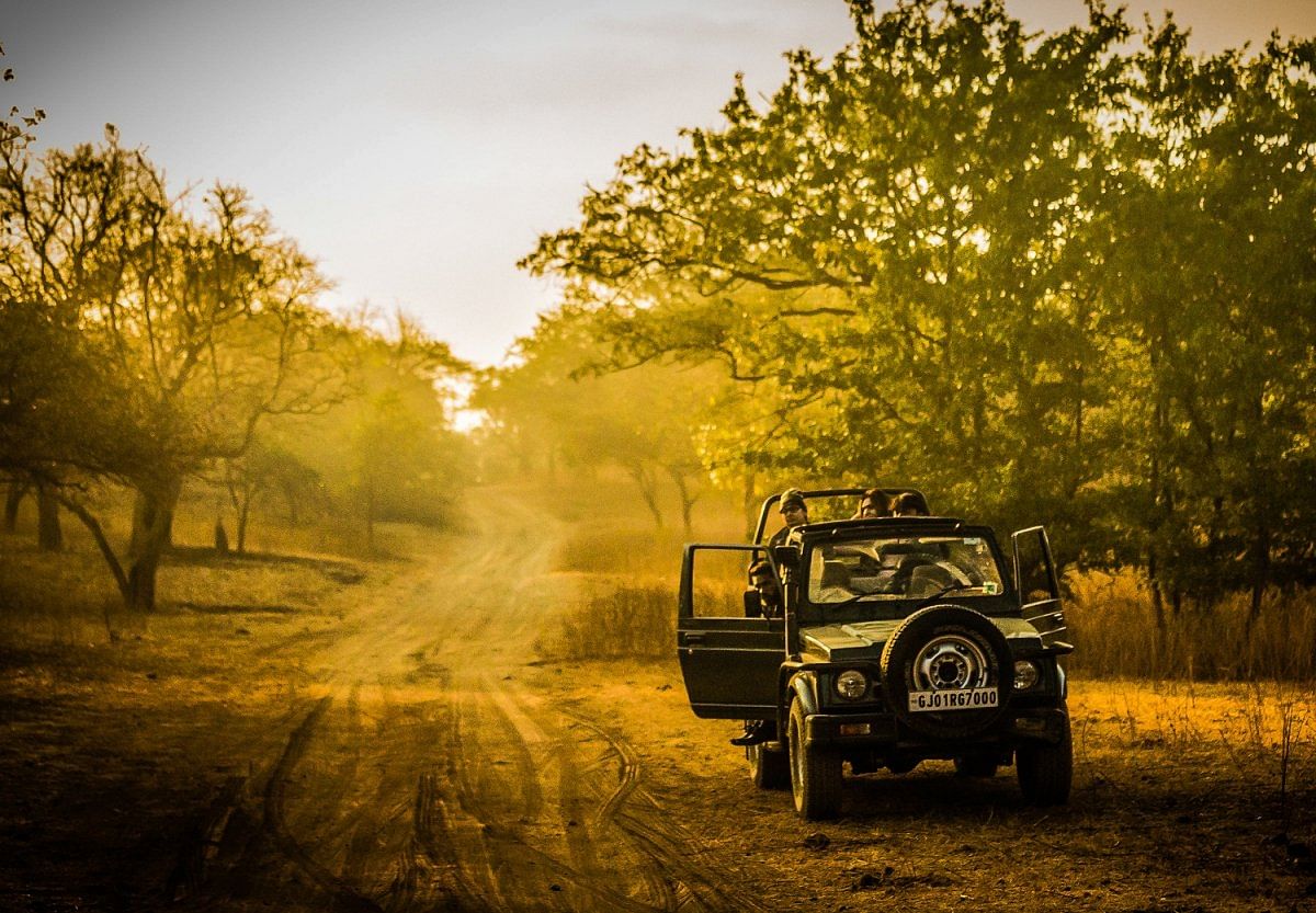 A safari jeep in Gir Forest National Park