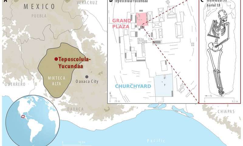 Overview of Teposcolula-Yucundaa, showing its location in the Mixteca Alta region of Oaxaca, Mexico (A), and its central administrative area (B), where excavations took place. (C) shows a drawing of individual 35, from which an S. enterica genome was isolated. Credit: Åshild J. Vågene et al. Salmonella enterica genomes from victims of a major 16th century epidemic in Mexico. Nature Ecology and Evolution.