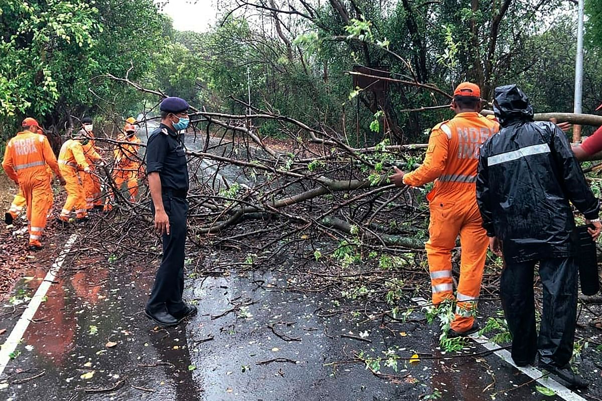 Maharashtra: Trees and poles fall as Cyclone Nisarga makes landfall near Alibaug