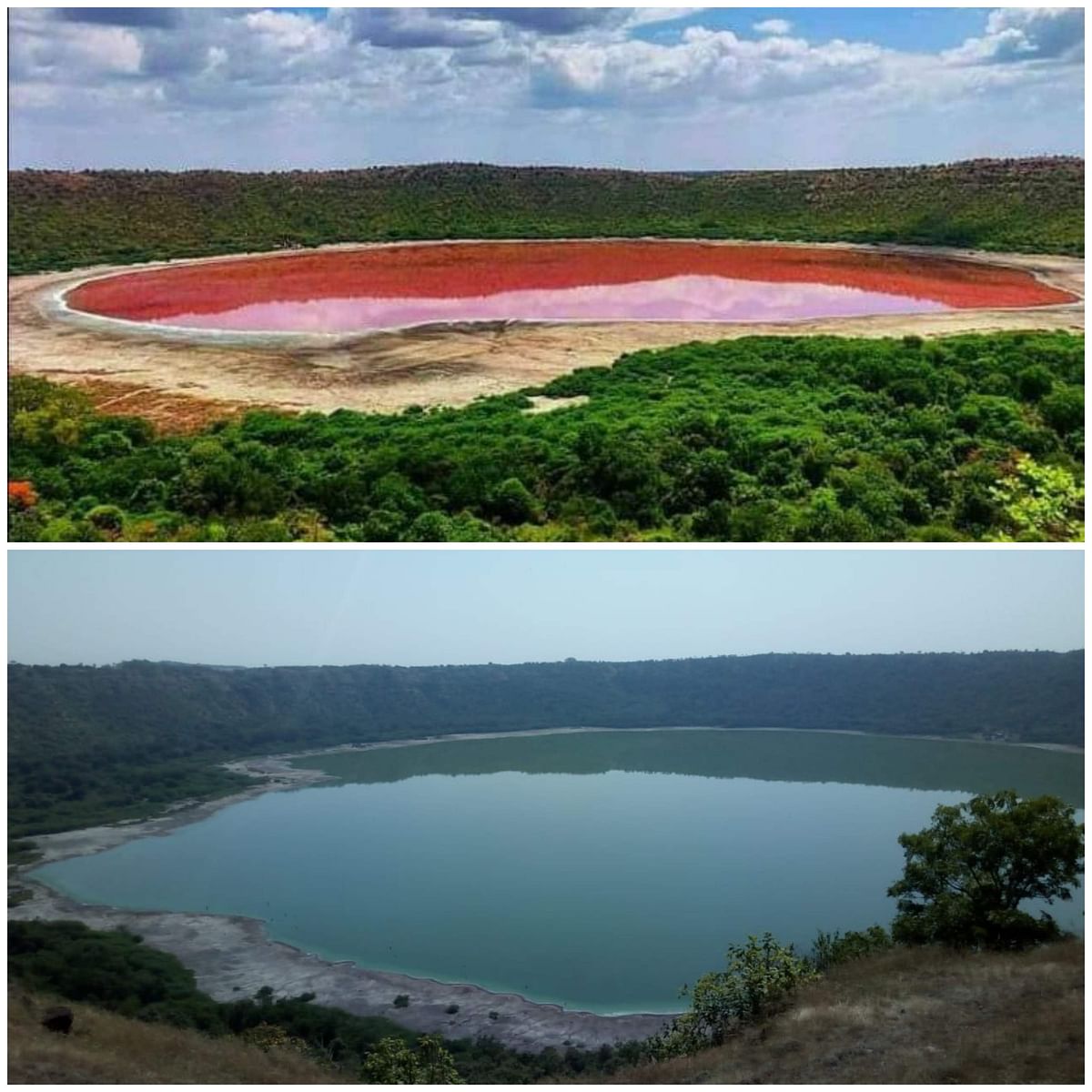 Bombay High Court seeks report from NEERI, GSI on Lonar lake colour change