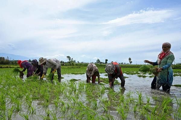 Karnataka govt pushes for ease of buying agri land for industries
