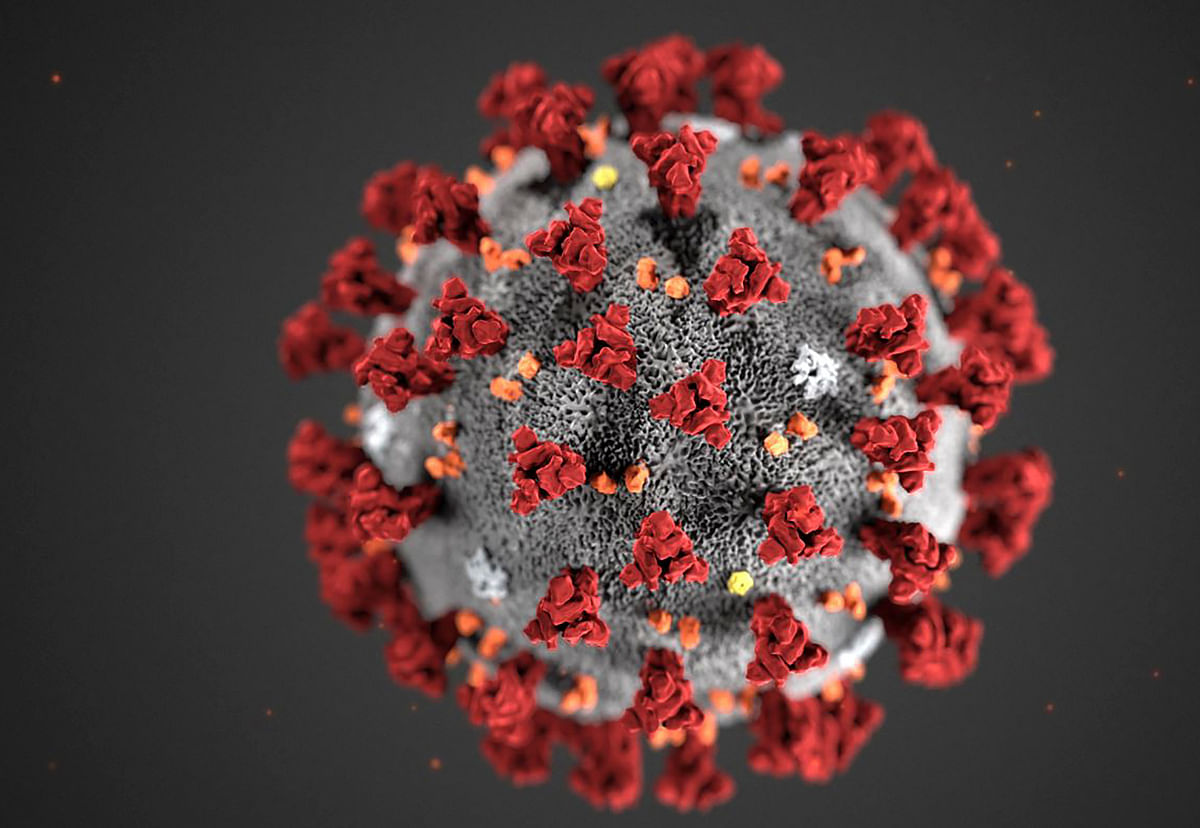 Scientists use 'nanosponges' to soak up, neutralise coronavirus in lab study