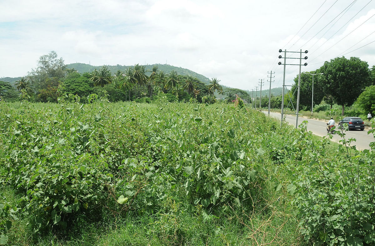 Karnataka govt allots three acres of land for CESCK