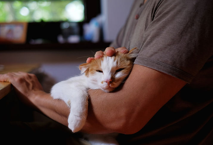 Women find men with cats less attractive, says study