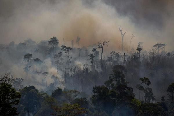 Brazil acted too late to halt deforestation this year, Vice President Hamilton Mourao says